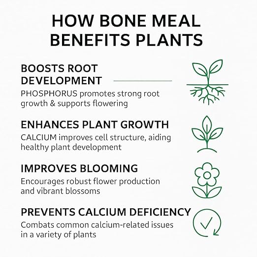 𝐁𝐄𝐒𝐓𝐒𝐄𝐋𝐋𝐄𝐑 Organic Bone Meal Fertilizer by Gardenera (4-12-0 NPK) All-Natural Plant Food Source of Nitrogen and Phosphorus for Bulbs, Gardens, Potted Plants, Trees, and Shrubs - 1 Quart