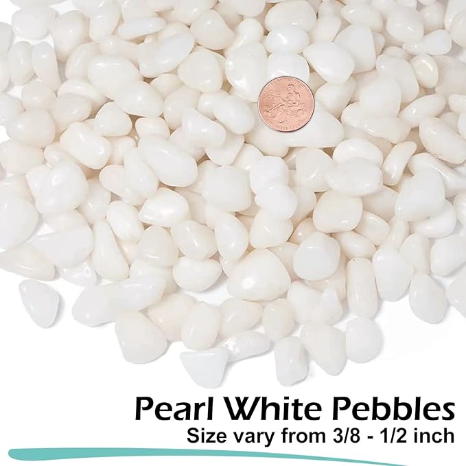 GASPRO 10 lbs White Pebbles for Plants, Vases, and Landscaping in Garden - Highly Polished 3/8" Small Rocks for Indoor and Outdoor Decor (Pack of 2)