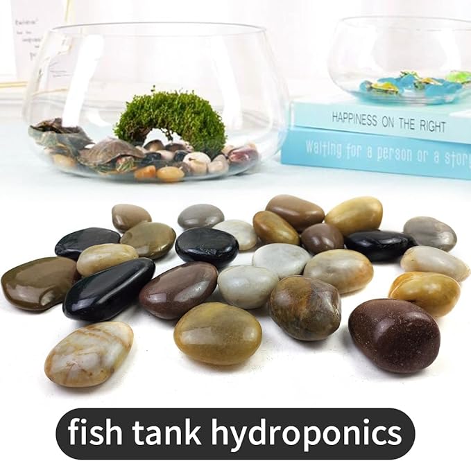 5LB Mixed Color River Rocks - 2-3 inch High Polished Decorative Pebbles, Stones for Landscaping,Natural River Rocks for Outdoor Décor, Plants,Vase Filler,Fish Tank