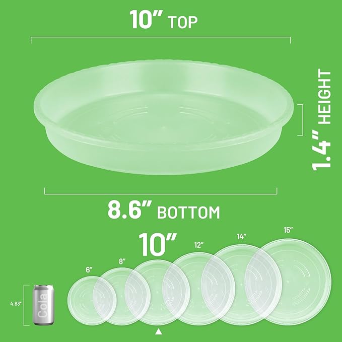 MUDEELA 6 Pack of 10 Inches Plant Saucers for Indoor, Durable Plastic Round Plant Tray Plant Dish Pant Plate to Catch Water for Flower and Plant Pot, Thicker, Stronger, Deeper, Clear