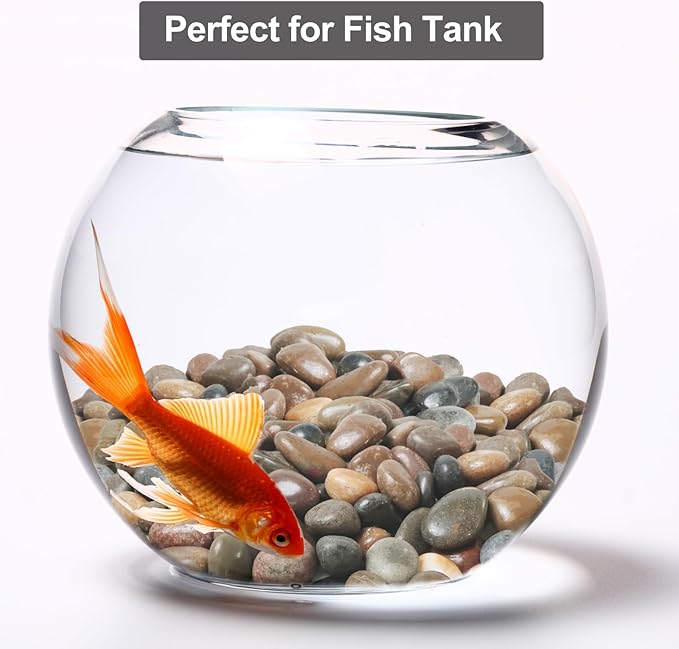 5Ib Rain Forest River Rock-Decorative Stones-Pebbles for Indoor Plants-Rocks for Outdoor Landscaping- 0.3"-0.8" inch High Polished Stones for Fish Tank, Terrarium,Vases, Home Decor