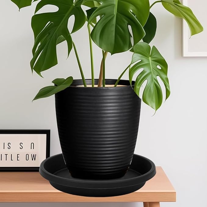 2 Pack Plant Saucer 10 Inch, Drip Trays for Potted Plants, Flower Pot Saucers Plant Trays for Pots, Plastic Planter Tray for Indoors, Plant Water Catcher Tray, Birdbaths for Outdoors