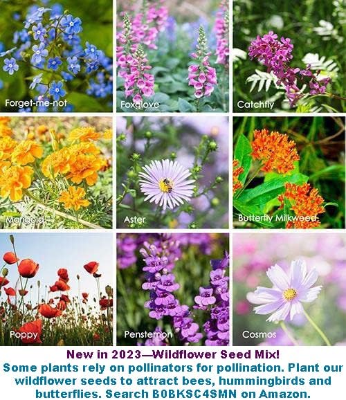 2026 EarlyBird-Organic Asian Pepper Seeds for Planting Vegetables and Fruits for 虎皮尖椒,Non-GMO Heirloom Seeds Chile Pepper Seed for Home Vegetable Garden Hydronic Pods-30ct Vege Seeds:Shishito