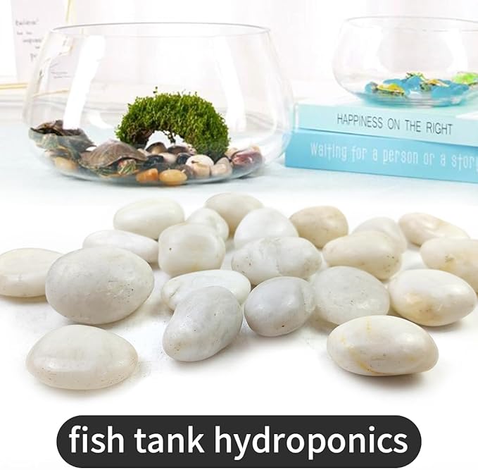 5LB White River Rocks - 2-3 inch High Polished Decorative Pebbles, Stones for Landscaping, Natural River Rocks for Outdoor Décor, Plants,Vase Filler,Fish Tank