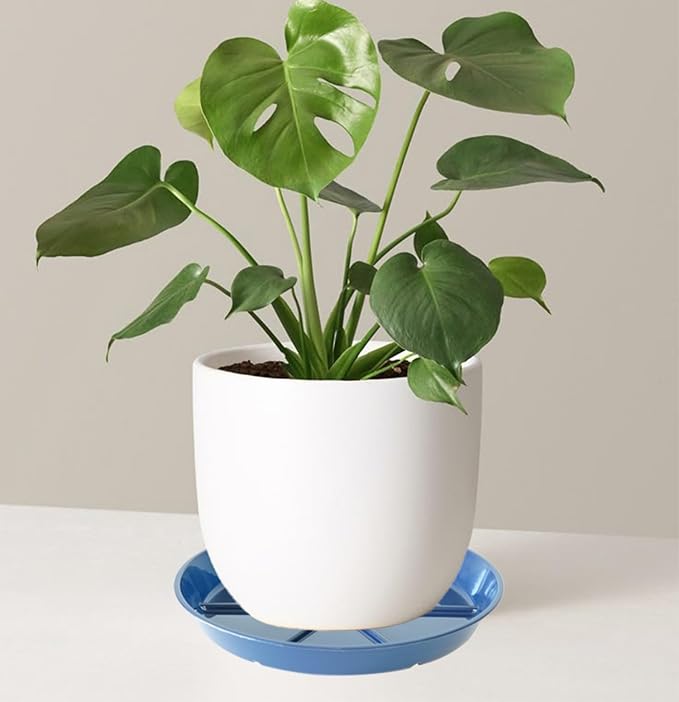 Plant Saucer Pot Tray 12 inch, 6 Packs Flower Planter Saucers and Drip Trays for Pots Planter, Heavy Duty Plant Dish Pant Plate to Catch Water for Indoor & Outdoor, Blue