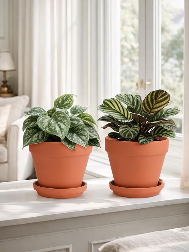 INGOFIN Terracotta Pots Set with Saucer - 2-Pack Ceramic Clay Planters with Drainage Hole, Garden Flower Succulent Pots with Tray for Indoor Outdoor Plants, 8 inch, Set of 2