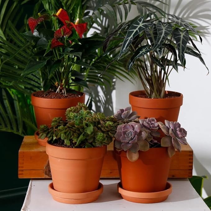 Yishang 6 Inch Middle Terracotta Pot Plant Saucer - 8pcs Middle Round Plant Pot Saucers, Middle Clay Plant Tray Perfect for 5/5.5/6 Inch Flower Pot with Drainage Hole and Great for Indoor or Outdoor