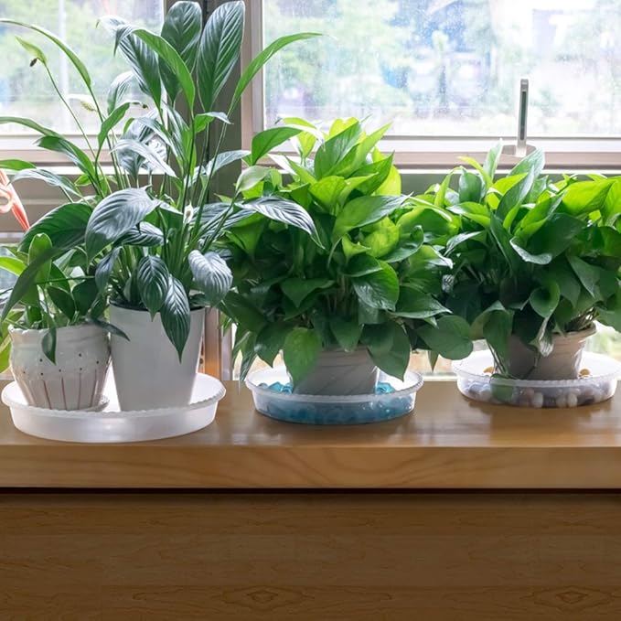 MUDEELA 6 Pack of 12 Inches Plant Saucers for Indoor, Durable Plastic Round Plant Tray Plant Dish Pant Plate to Catch Water for Flower and Plant Pot, Thicker, Stronger, Deeper, Clear