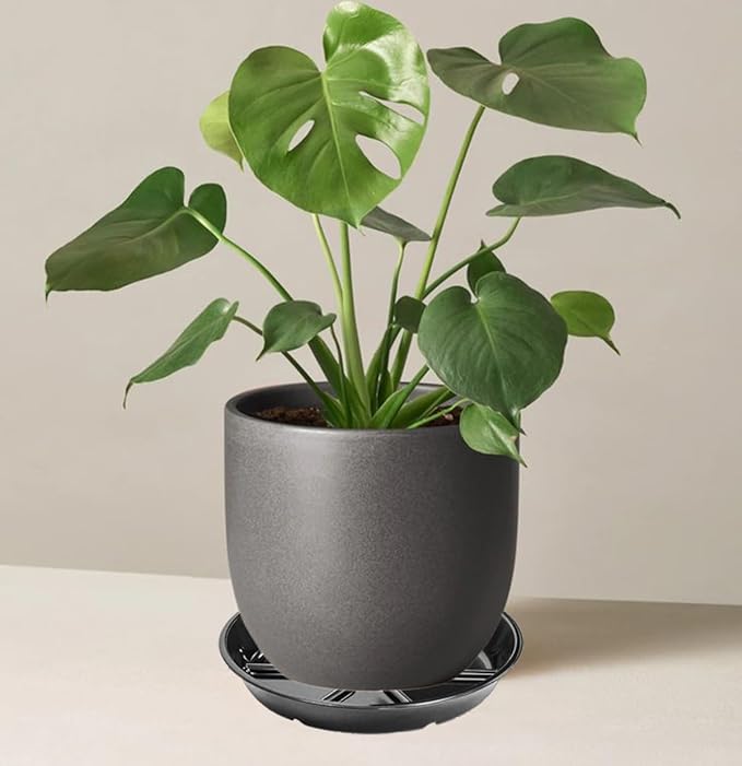 6 Pack of 6 Inches Plant Saucers for Indoor, Durable Plant Saucer Pot Tray, Round Plastic Flower Plant Dish Pant Plate to Catch Water, Black
