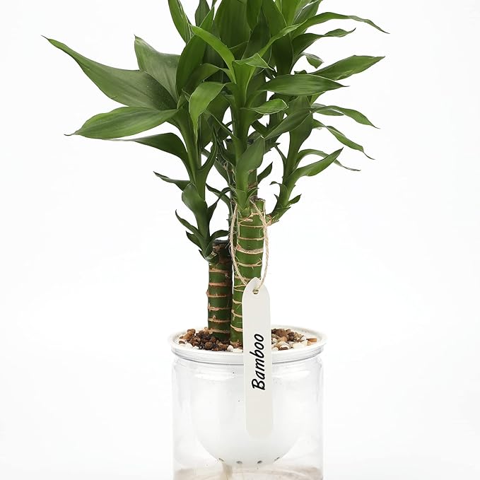 Plant Labels 4 Inch Plastic Plant Garden Labels 200 PCS Plant Name Tags for Seedlings,Seed Labels Plant Label Stakes with Permanet Marking Pen,Waterproof Plant Tags for Outdoor Indoor
