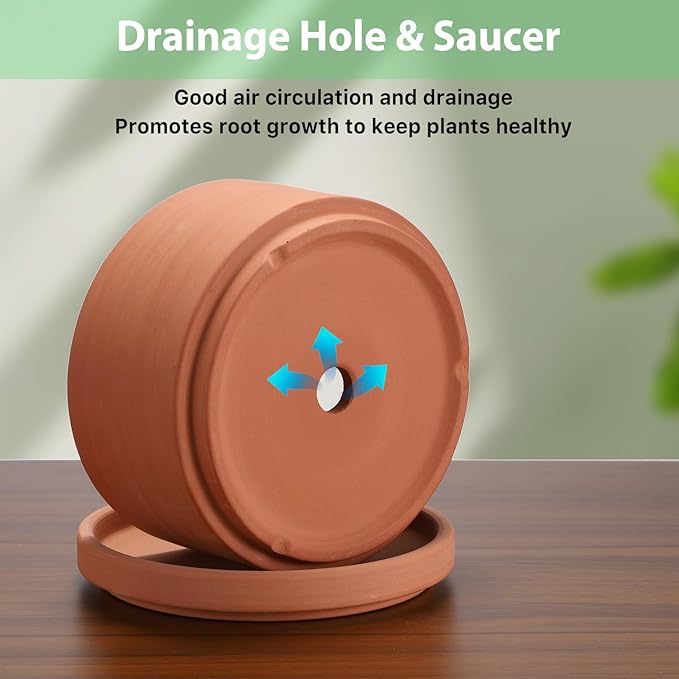 JUXYES 6 Inch Terracotta Shallow Pot with Holes and Saucers, Round Cylinder Succulent Planter Clay Flower Pots for Indoor and Outdoor Use, Decorative Bonsai Succulent for Mini Foliage Plants Orchids