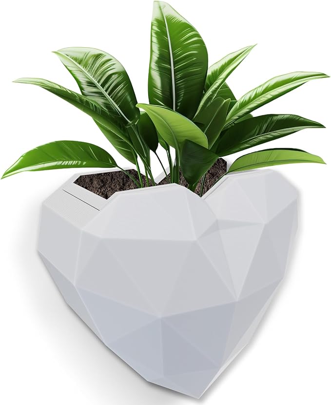Heart Self Watering Planter | Indoor Wall Planters for Indoor Plants | Vertical Succulent Wall Planters | Create A Wall Garden Without Drilling | Valentine's Day Gift (White)
