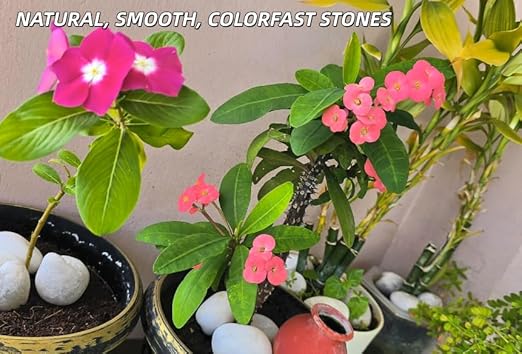 18lb White River Rocks for Plants, 1-3 Inch Pebbles for Indoor Plants, Polished Garden Rocks Outdoor Landscaping, Decorative Stones for Vases, Succulents, Aquarium, Walkways