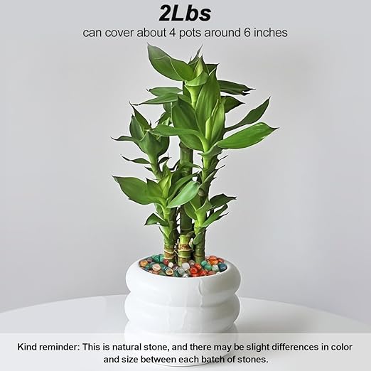 Fish Tank Gravel,Landscaping Pebbles, River Rocks,Decorative Ornamental Pebbles,Garden Landscaping Stones, DIY Smoothed Rocks for Potted Plant Resin Art Vase Fillers Aquarium Gravel Rocks (2 Pounds)