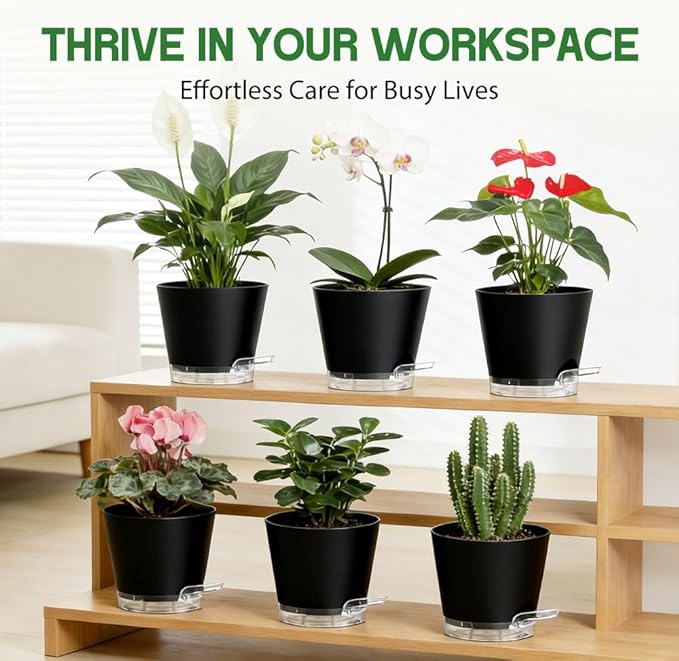Self Watering Pots for Plants, 2026 New Flower Plant Pots with Drainage Holes, Wicking and Clear Reservoirs for Succulent, Aloe, Cacti and Others - 6 Pack (Black, 6")