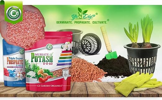 Muriate of Potash 0-0-60 Fertilizer Made in USA - MOP Potassium Plant Food for Indoor/Outdoor Plants, Flower Gardens, Fruit and Vegetable Gardens, Holistic Herbs, Trees and Lawns!