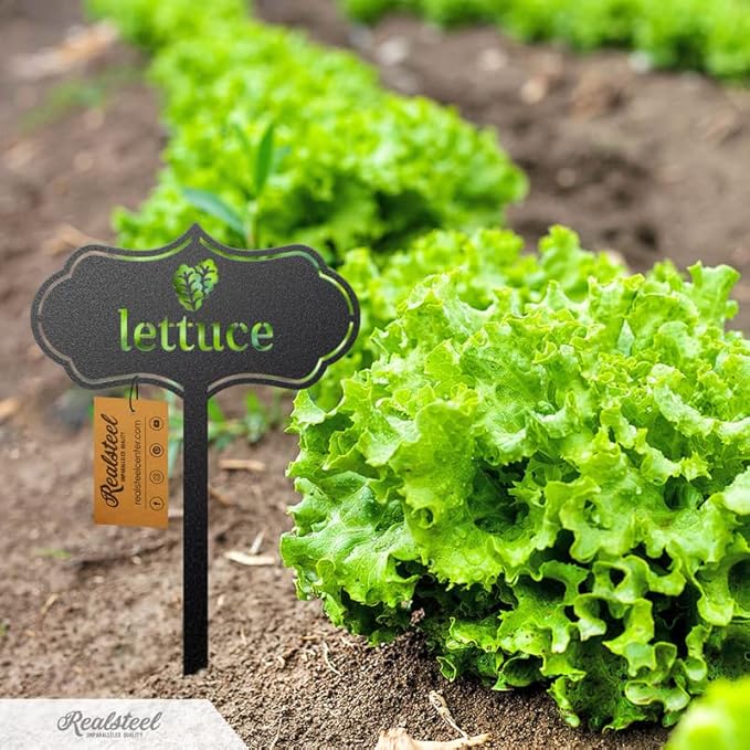 RealSteel - Seed & Plant Markers - Indoor/Outdoor Herb Garden Stakes - Elegant Fruit/Vegetable Seed Labels - Durable Plant Tags for Pots - Classy Design for Farmhouse/Greenhouse (Cilantro)