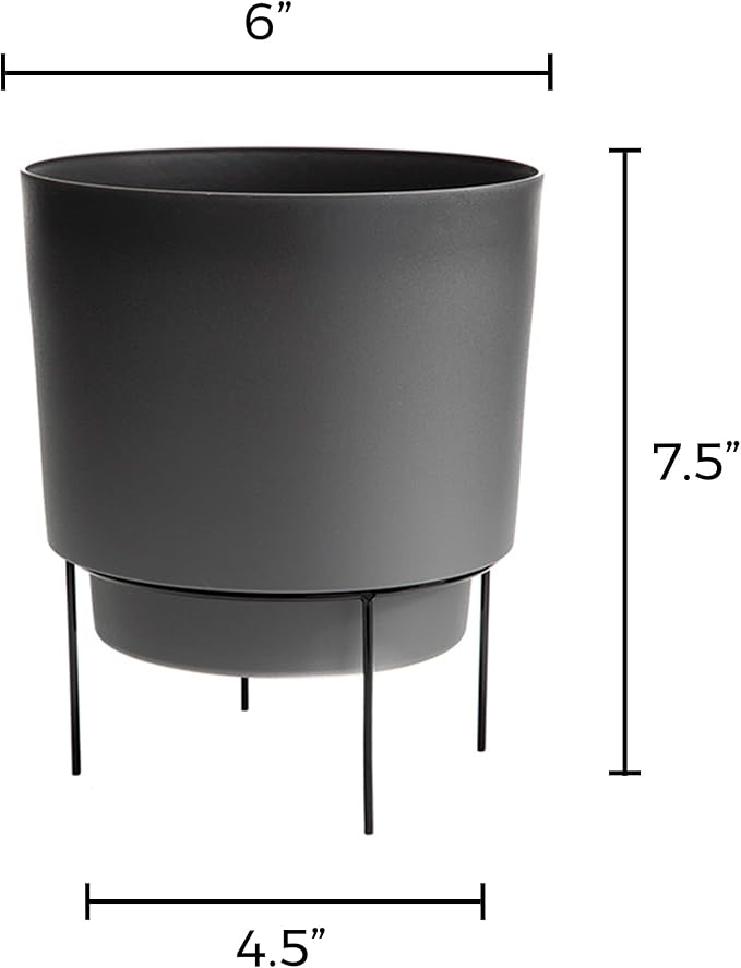 Bloem Hopson Decorative Resin Cachepot with Metal Stand, 6" Indoor and Outdoor Planter with Black Metal Stand, Charcoal