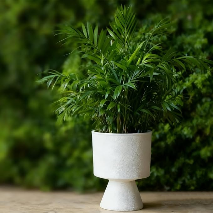 Lookat Modern Hourglass Planter, Indoor Decorative Plastic Plant Container, Textured Metal Look, Contemporary Home Garden Pot (Beige, CUP003 Small+Medium)