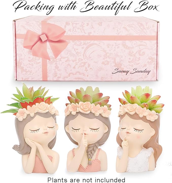 Small Fairy Succulent Plant Pot Set 3 Pack with Drainage Hole Indoor Cactus Pot Cute Flower Vases Decor with Girl Face Planter Gifts Idea for Women Arrive Beautifully Boxed
