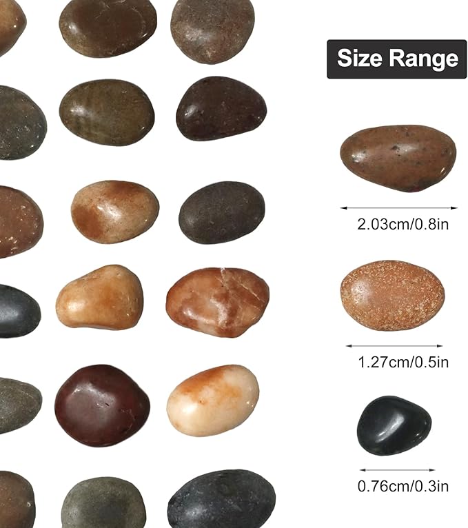 5Ib Rain Forest River Rock-Decorative Stones-Pebbles for Indoor Plants-Rocks for Outdoor Landscaping- 0.3"-0.8" inch High Polished Stones for Fish Tank, Terrarium,Vases, Home Decor