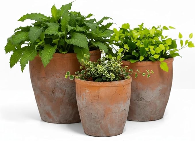 Urban Trends Ceramic Short Wide Round Flower Pot Set of Three Washed Finish Vermilion..7.75"x7.75"x7.00"H; 6.50"x6.50"x6.00"H; 5.50"x5.50"x5.00"H