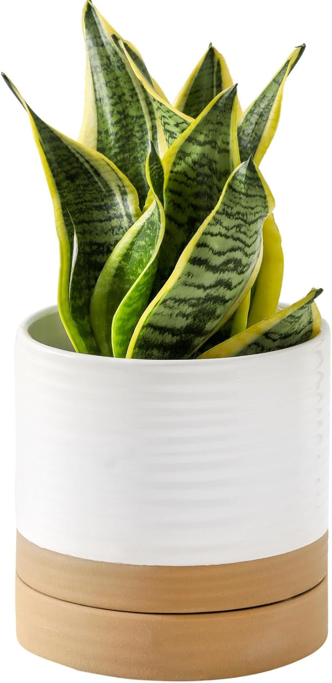 HASENSE Ceramic Plant Pots Indoor Outdoor, 6 Inch Pot for Plants with Drainage Hole and Saucer, White Modern Flower Planter for Housewarming Gift