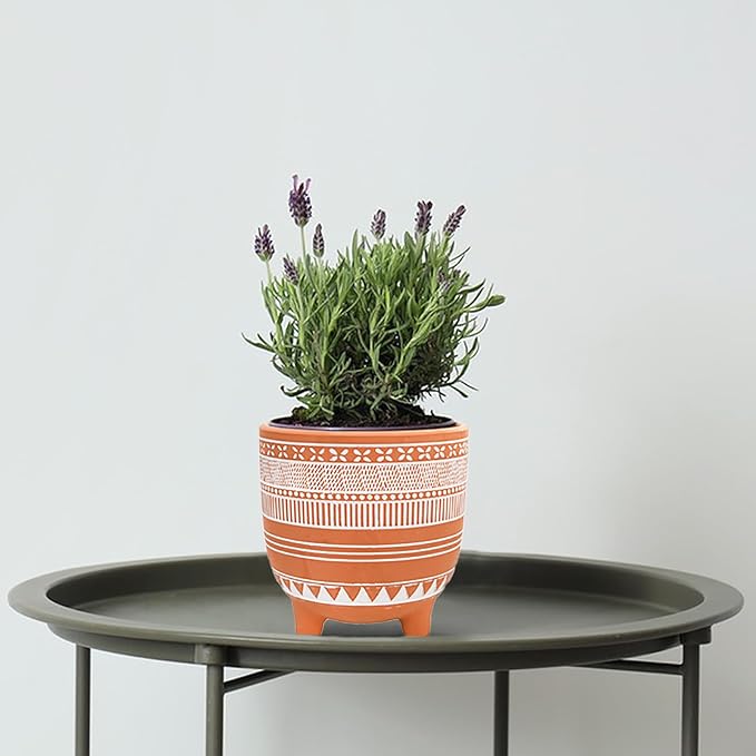 Frcctre 2 Pack Terracotta Pots, 6 Inch Succulent Clay Pottery Plant Pots Cactus Terra Cotta Flower Pot with Drainage Hole for Indoor Plants, Cactus, Succulent, Herbs