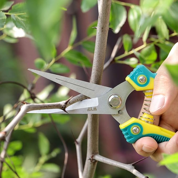 WYF Pruning Scissors, Professional Garden Shears - Straight Stainless Steel Blades - Sharp Gardening Hand Pruner for Garden Harvesting Fruits, Vegetables, Trimming Flowers and Plants, 8.1IN