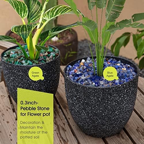 RIFNY Decorative Polished Rocks, 0.3" Gravel Rocks Crushed Crystal for Plant Flower Pots Succulents Cactus Bamboo Plant Vase Filler Aquarium Fish Tank Decorations and DIY Craft (1.5 LB, Green)