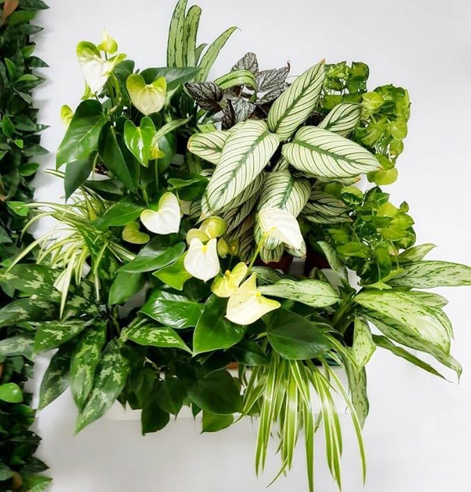 BOXSAND-12 Vertical Wall Planter (24"x26", White with Black Pots) – Living Wall for 12 Plants, Indoor/Outdoor Vertical Garden System, Easy 2-Screw Install