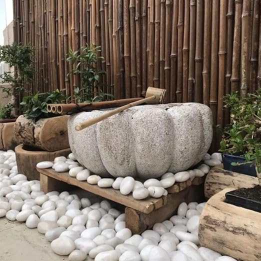 40lbs White River Rocks for Landscaping, 2-3 Inch Natural Pebbles for Indoor Plants, High Polished Decorative Stones Garden Outdoor and Indoor DIY Vase Filler Fish Tank Aquariums