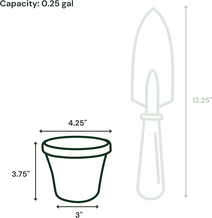 Bloem Terra 4" Diameter Round Charcoal Resin Planter Pot with Pre-Drilled Drainage Holes for Indoor and Outdoor Gardening