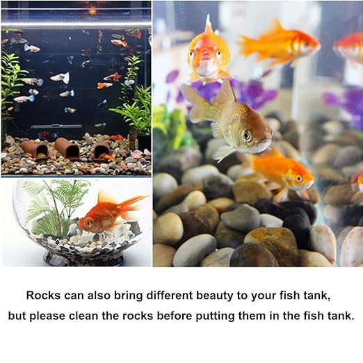 2.0 lb Mixed Color River Rock Stones 1~1.5", Natural Decorative Highly Polished Pebbles, Indoor Decorative Stones for Plant, Aquariums, Landscaping, Garden Flower Bed, Vase Fillers
