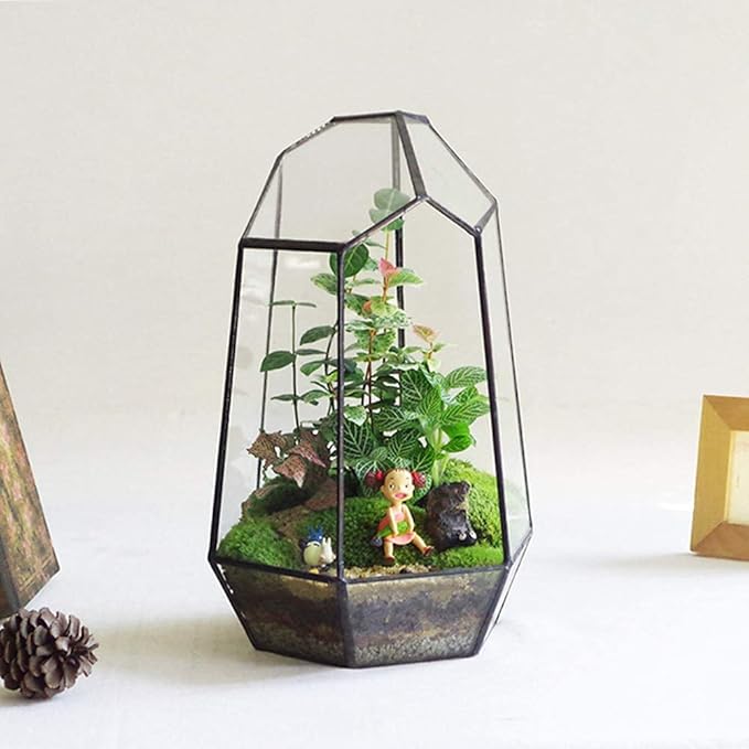 Geometric Glass Terrarium for Indoor Plants,Irregular Clear Planter,Black Opened Container Pot for Cacti,Succulents and Moss,Home Garden Office Tabletop Decor,6.5x5.7x9.8'' No Door