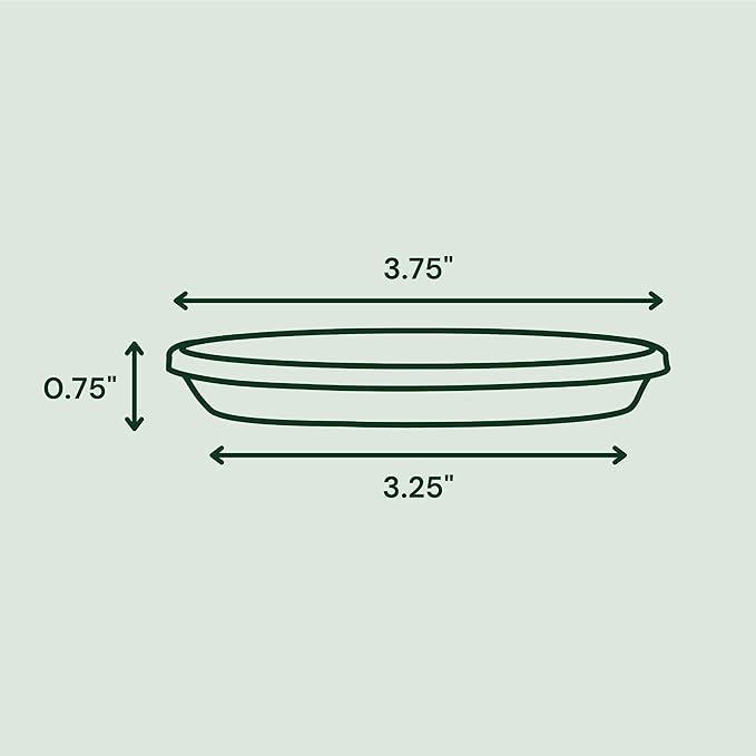 Bloem Terra 4" Diameter Round Black Resin Planter Pot with Pre-Drilled Drainage Holes for Indoor and Outdoor Gardening