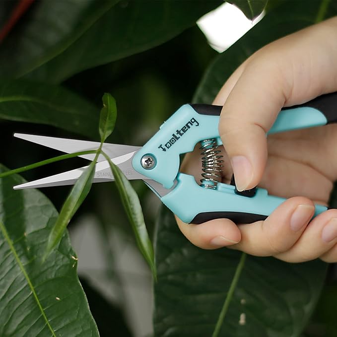 12 Packs Pruning Shears, Garden Trimming Scissors, Gardening Hand Pruning Snips, Titanium Coated Precision Bonsai Pruning Shears, Convenient and Efficient Flower Cutters (Blue)
