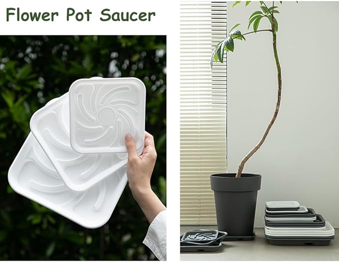 5 Pack Plastic Flower Plant Pot Saucer, Heavy Duty Plant Drip Trays Saucers for Indoors Outdoors,Quadrate Thick Sturdy Planter Bottom Plate(White,6.5")