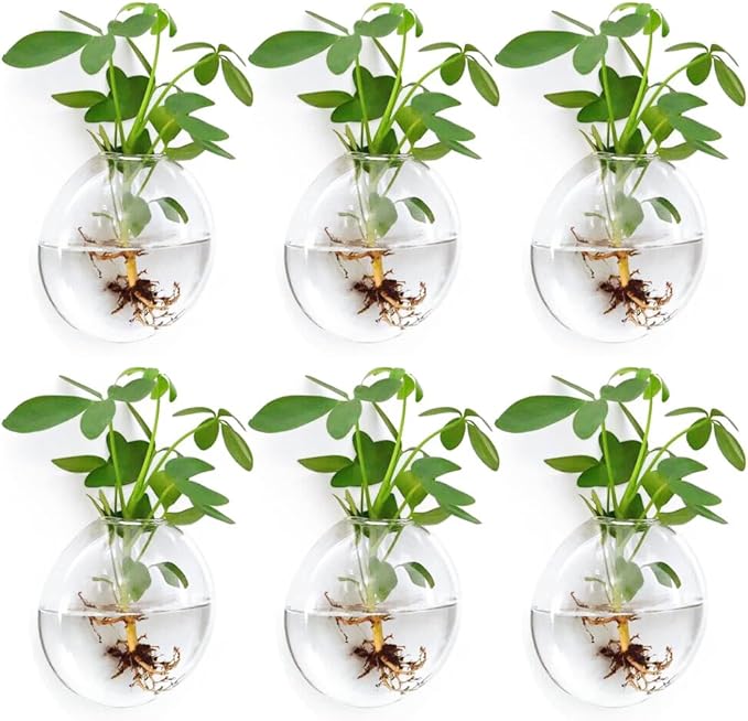 Wall Propagation Planters 6 Pack Glass Wall Planters for Indoor Plants, Wall Plant Holder Plant Propagation Wall Hanging, Glass Flower Vase Indoor Hydroponic Decor