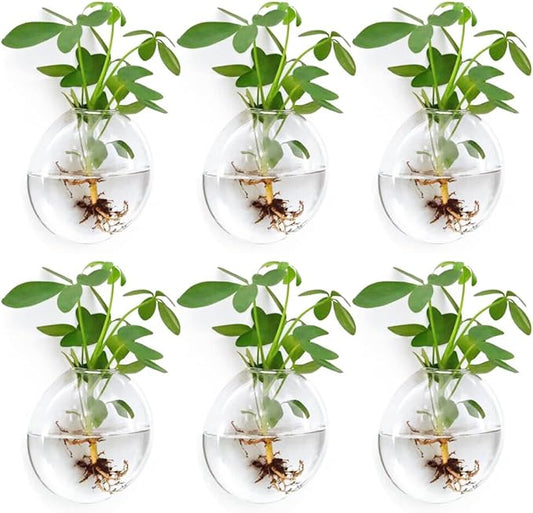 Wall Propagation Planters 6 Pack Glass Wall Planters for Indoor Plants, Wall Plant Holder Plant Propagation Wall Hanging, Glass Flower Vase Indoor Hydroponic Decor