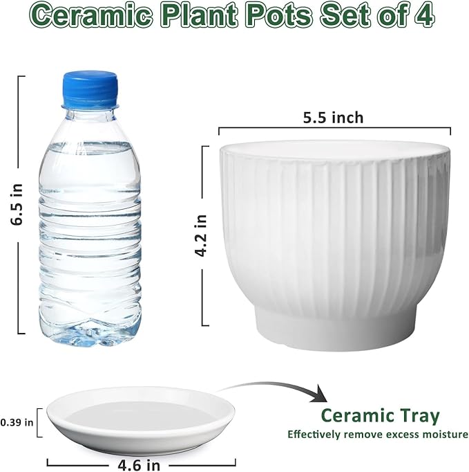 5.5 Inch Plant Pot, Ceramic Planter with Drainage and Saucer，Ceramic Pots for Plants, Indoor Plant pots，Succulent Orchid Flower Pot(Pure White,4 Pack)