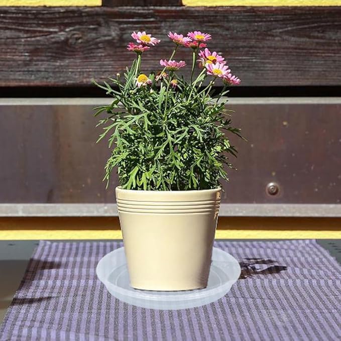 9 Pack of Clear Plant Saucer 6 8 10 inch, Plastic Flower Plant Pot Saucer, Heavy Duty Plant Drip Trays Saucers for Indoor, Plant Water Tray for Planters