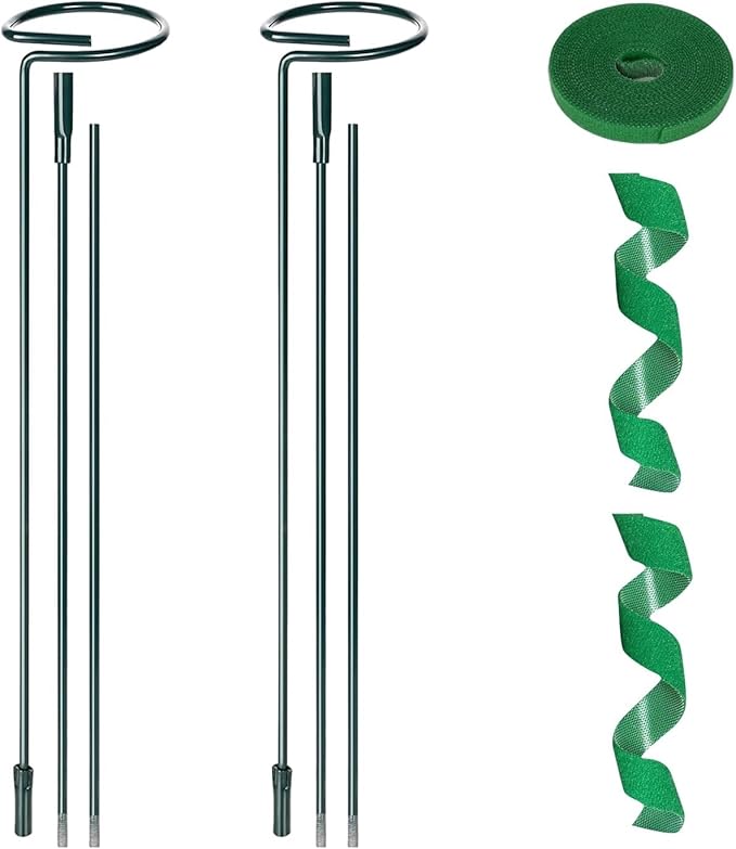 2 Pack Flower Support Stakes, 3 Sizes (12 or 24 or 36 Inch) Garden Plant Stick, Plant Stake Support Ring For Indoor Outdoor With Plant Ties, Amaryllis Support Stakes, Climbing Plants, Tomato