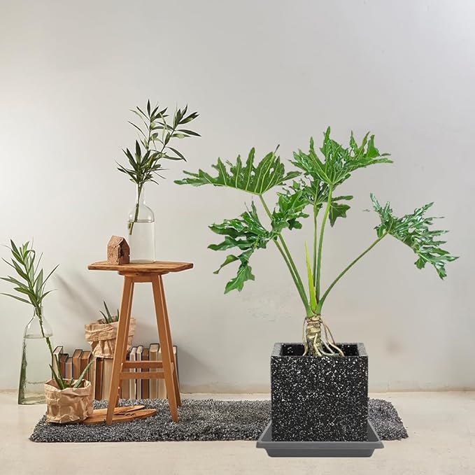 Square Plant Saucer 10 Inch 4 Pack, Plant Drip Trays and Flower Pot Saucers，Doubles Plant Water Catcher Tray, Plant Trays for Indoors No Holes, Plant Drainage Tray Saucers for Potted Plants