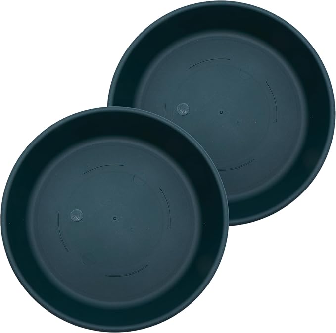 The HC Companies 12 Inch Classic Round Plant Saucer, Lightweight UV-Resistant Plastic Outdoor & Indoor Flower Pot Tray, 2-Pack Plant Pot Trays for Garden & Home Decor, Evergreen