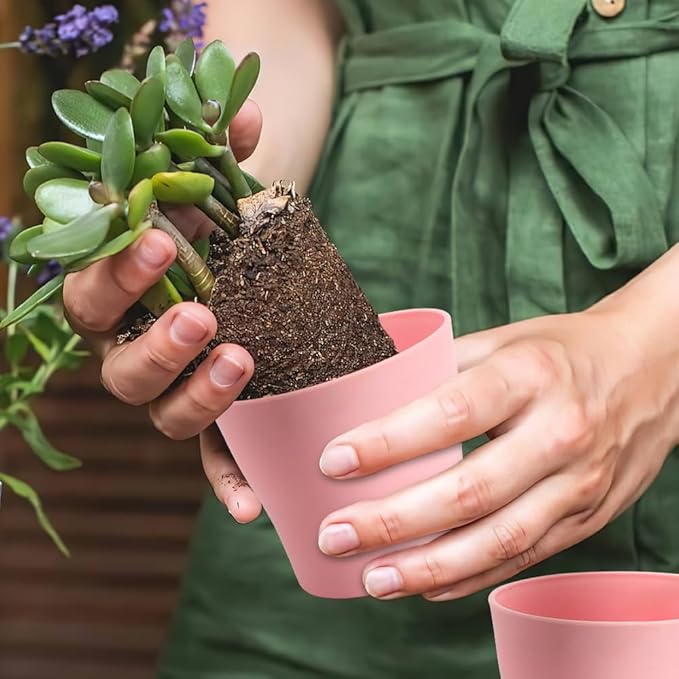 OALCQ 4 inch Plant Pots - 10 Pcs Small Flower Pots for Indoor Succulents & Herbs - Cute Plastic Pots in 5 Colors