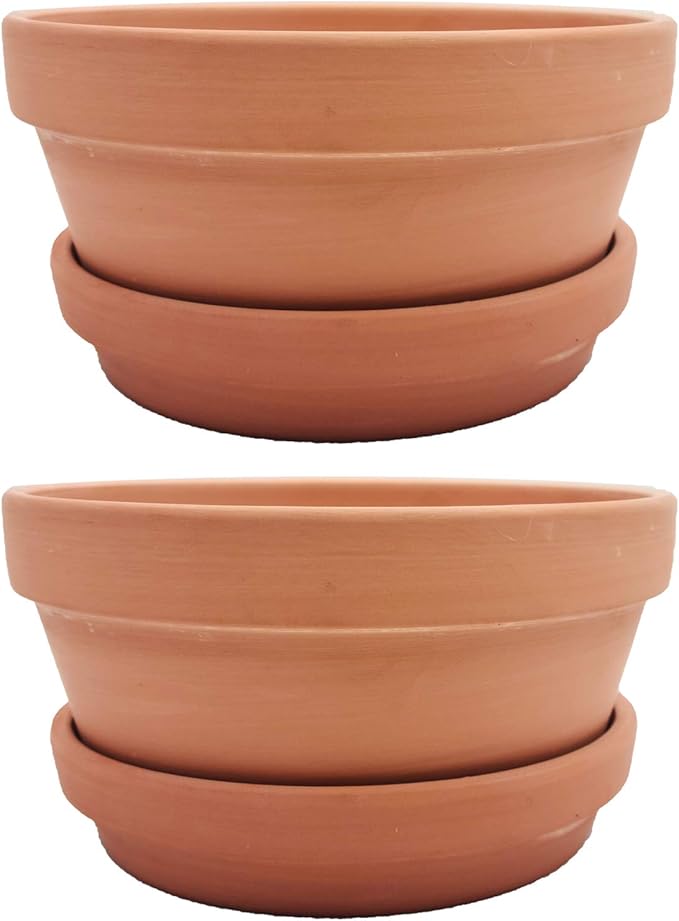 Yishang Large Terracotta Pots with Saucer/Tray for Succulent - 8 Inch Cactus Plant Containers Indoor Garden Bonsai Pots with Drainage Hole - Set of 2, Unglazed Clay Ceramic Pottery Planter