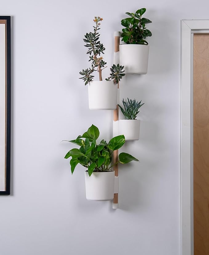 Lofted Goods The Rail Wall Mounted Vertical Plant Holder, White Planters with Wooden Dowel, 36 Inch, Indoor Hanging Garden Display, Contemporary Home Decor