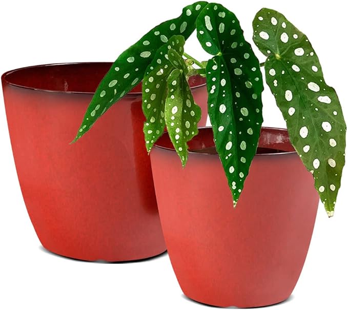 2 Pack Plant Pots Durable Decorative Flower Pots,8 Inch Planter with Drainage Hole + 6 Inch Planter Set for Indoor and Outdoor Plants,Flowers,Succulents - Red