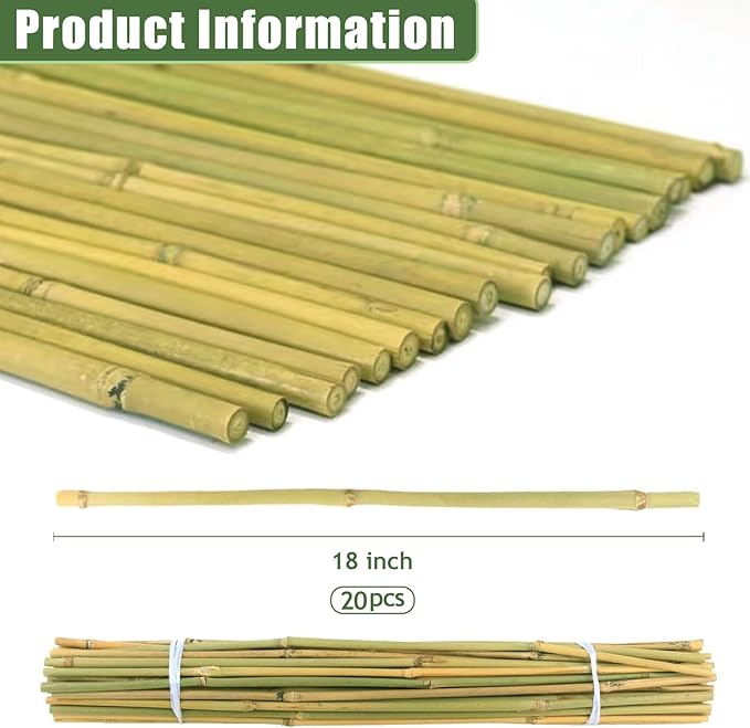 20 Pack 16/18 Inch Natural Bamboo Stakes for Plants, Thick-Wall Garden Stakes with 20 Free Green Ties - Sturdy & Treated Plant Support Sticks for Indoor/Outdoor Potted Tomatoes, Vegetables (18 Inch)